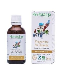 Herbiolys PHYTO Vergerette du Canada 50mL BIO - Erigeron canadensis BIO, 50 ml